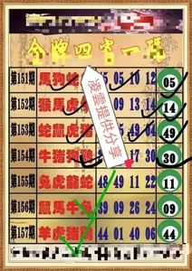 澳门期期四肖选一肖,豪华精英版79.26.45-江GO121,127.13