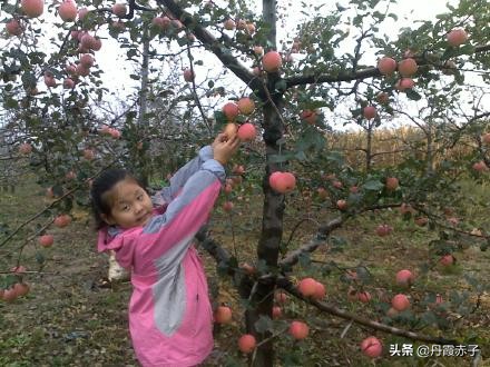 爱在春天来临，爱在春天来临时