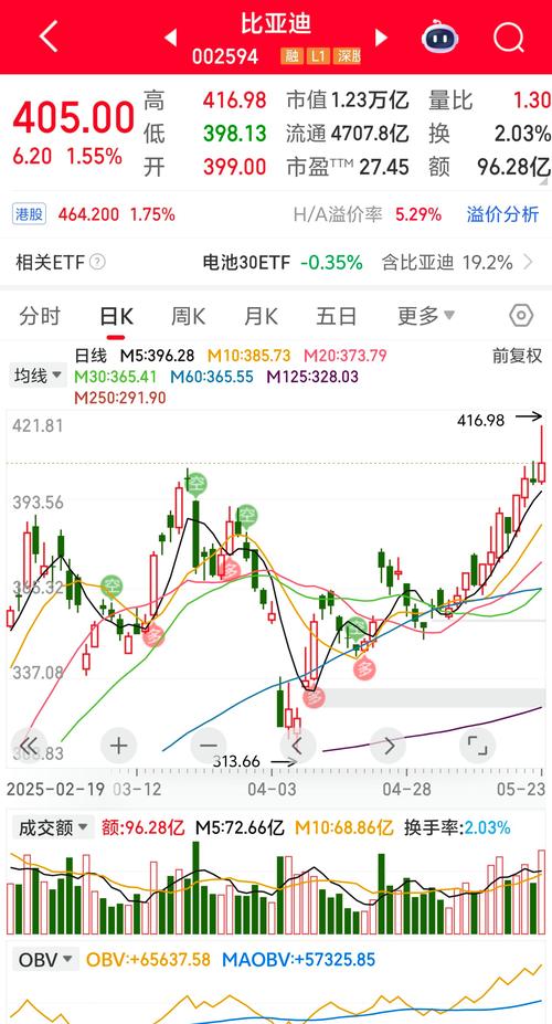 比亚迪股价跌超8%,比亚迪股价跌超800亿
