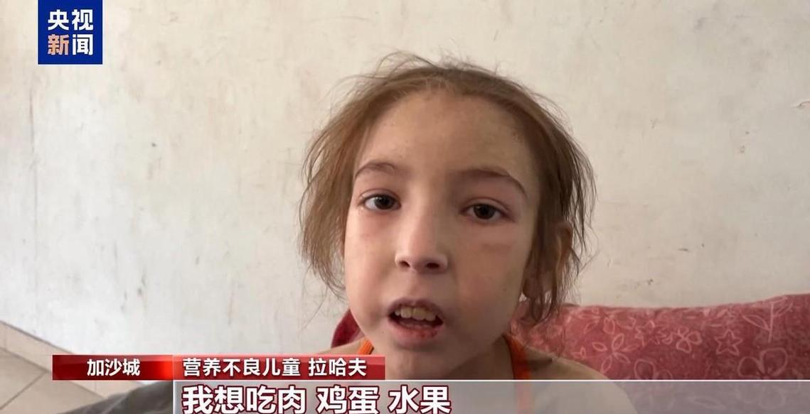 新澳门2025年正版免费和加沙数万难民抢食物与加沙数万难民抢食物视频